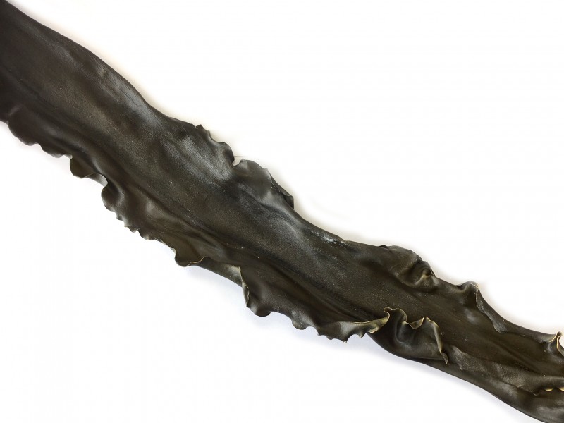 KELP