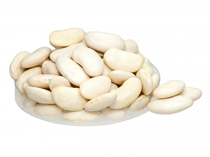 Navy bean    “Lopatka”
