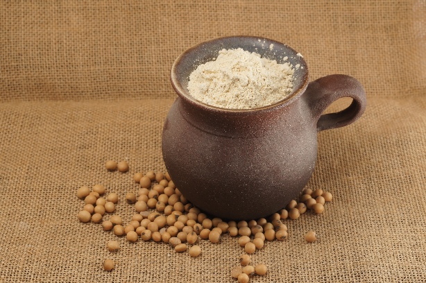 Defatted deodorized soy flour “Soyanta 200”