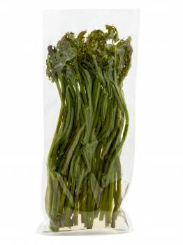Bracken