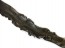 KELP