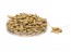 Fodder barley
