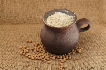 Defatted deodorized soy flour “Soyanta 200”